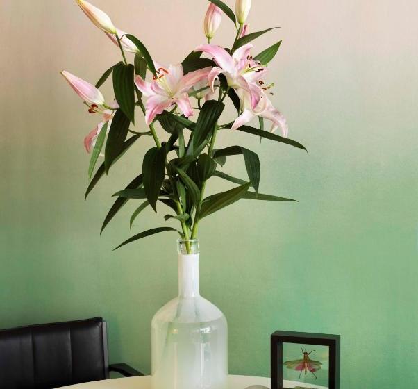 City B&b Villa Nicola