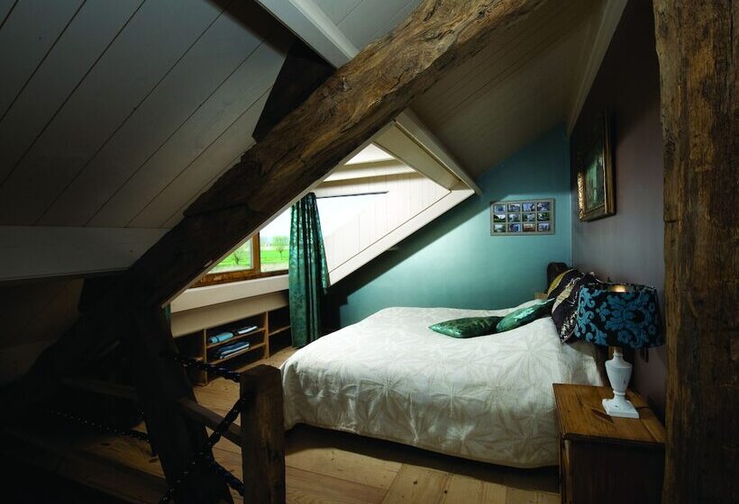 فندق Guesthouse Ensenada