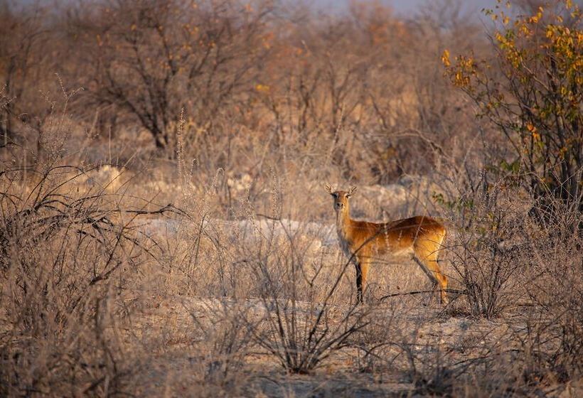 هتل Etosha Trading Post Campsite