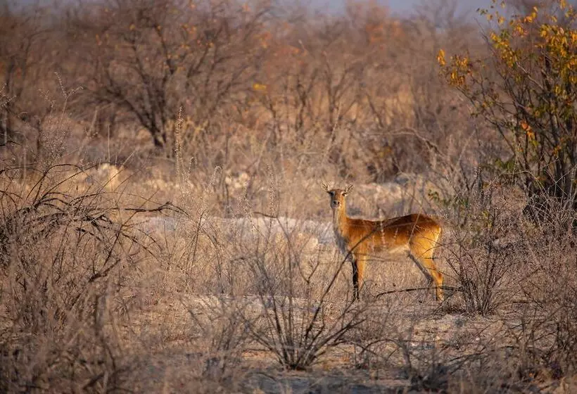 هتل Etosha Trading Post Campsite