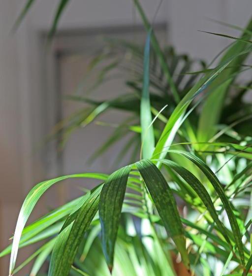 בית מלון כפרי Haus Der Begegnung