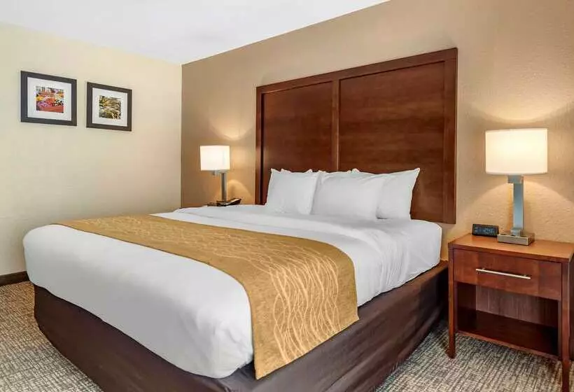 هتل Comfort Inn Lafayette I65