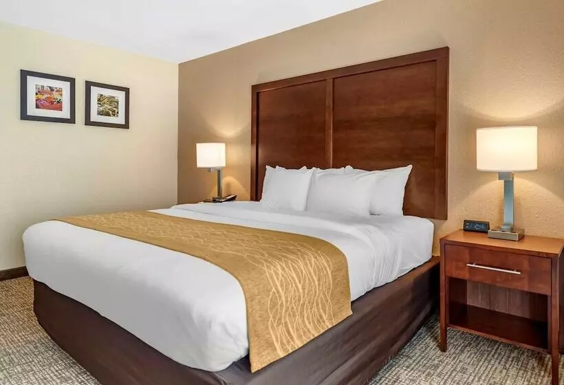 هتل Comfort Inn Lafayette I65
