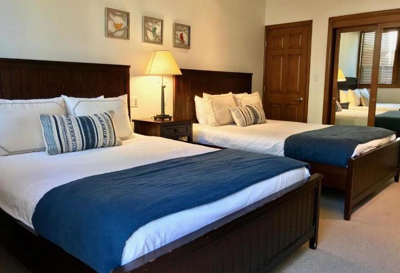 هتل Lodge At Lionshead