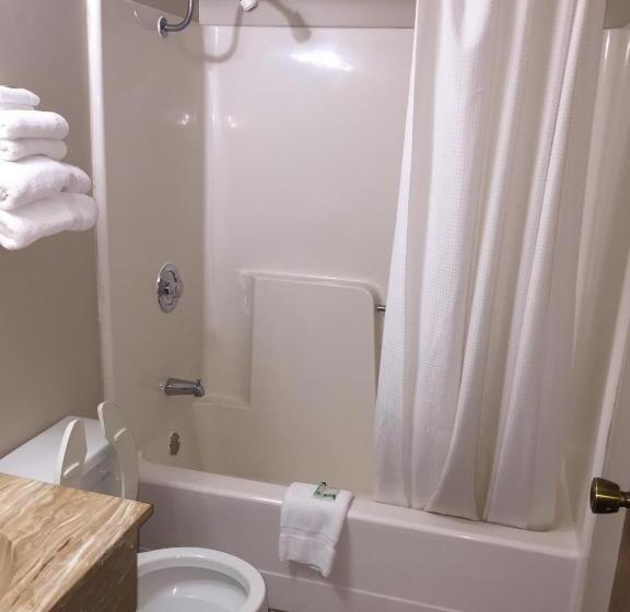 בית מלון כפרי Lyons Inn