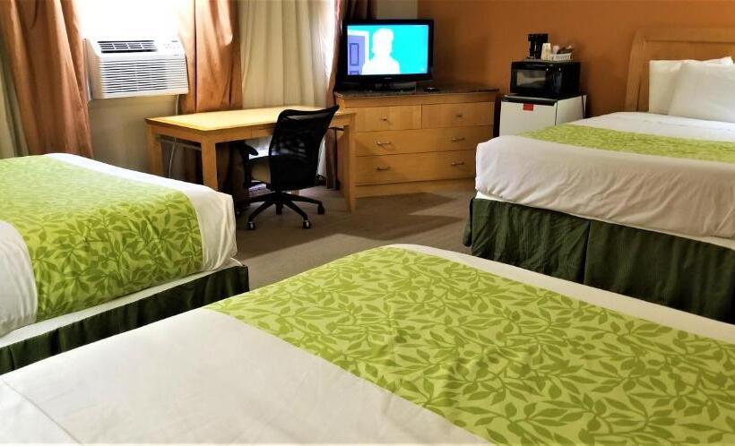 בית מלון כפרי Lyons Inn