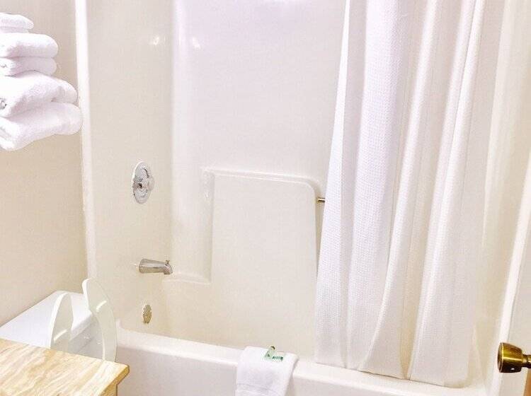 בית מלון כפרי Lyons Inn