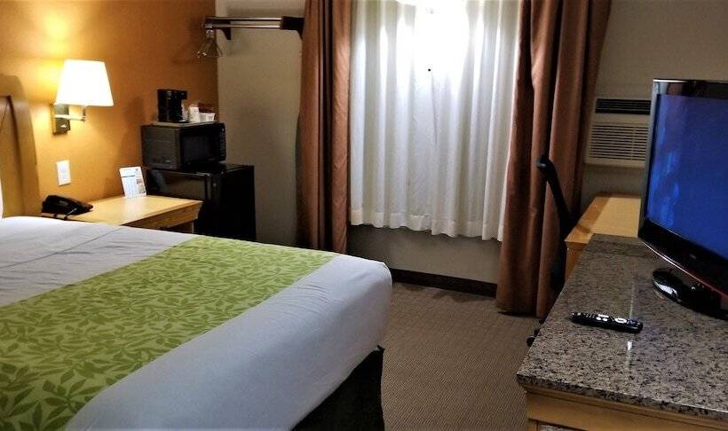 בית מלון כפרי Lyons Inn