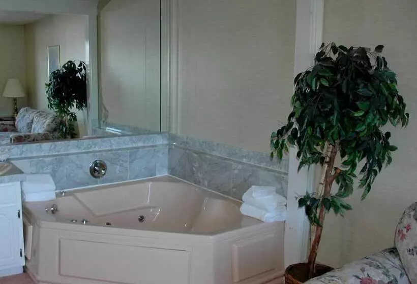 모텔 Lockport Inn And Suites