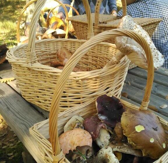 Hospedium Hotel El Nido De Alcudia Suites