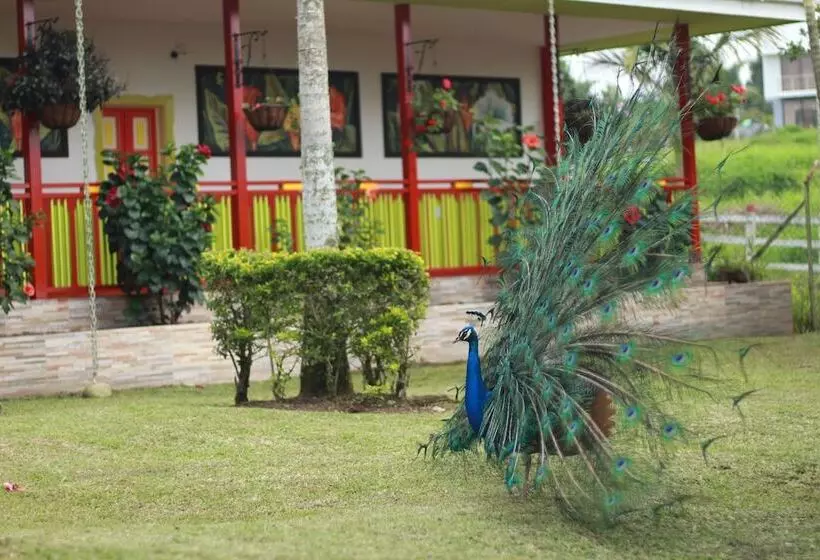 Bamboo Hotel Boutique