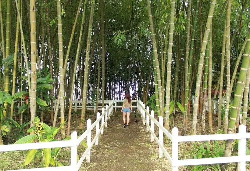 Bamboo Hotel Boutique