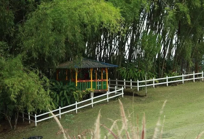 Bamboo Hotel Boutique