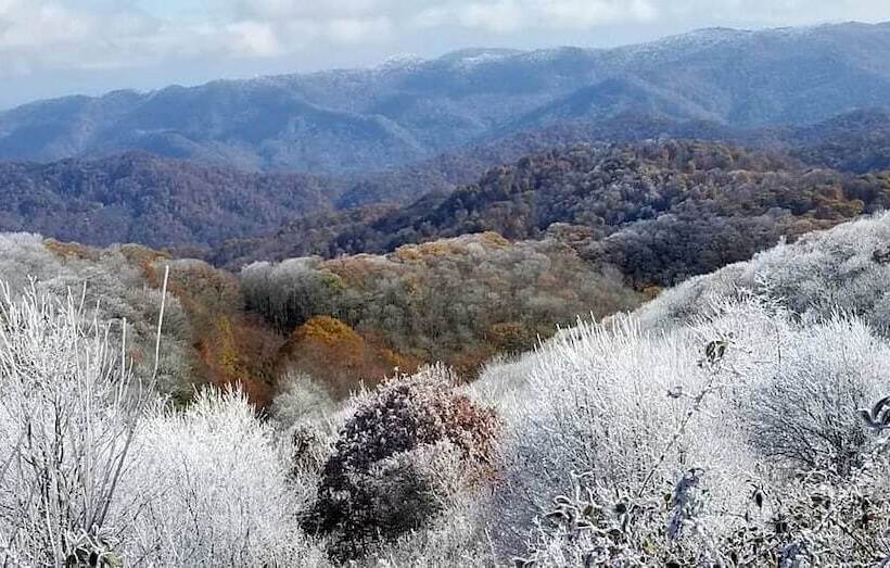 فندق صغير Laughing Heart Lodge