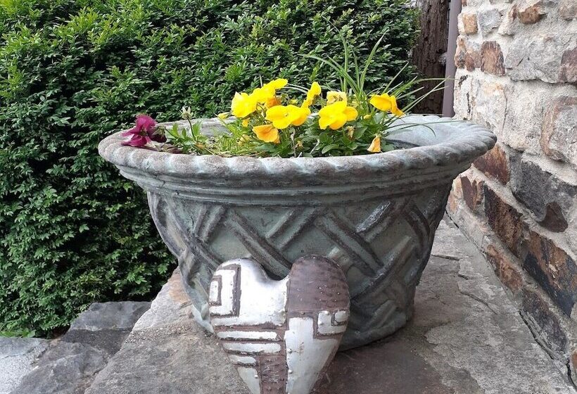 فندق صغير Laughing Heart Lodge