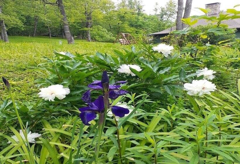 فندق صغير Laughing Heart Lodge