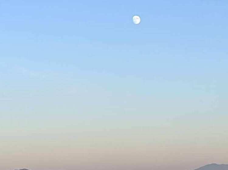 فندق صغير Laughing Heart Lodge