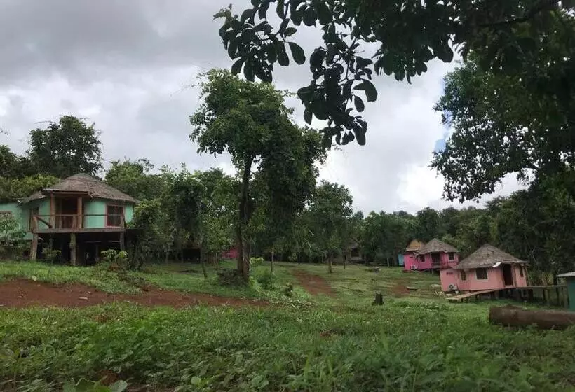 ホテル Gibbon Lodge