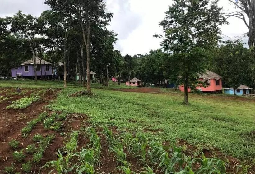 ホテル Gibbon Lodge