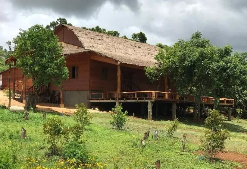 ホテル Gibbon Lodge