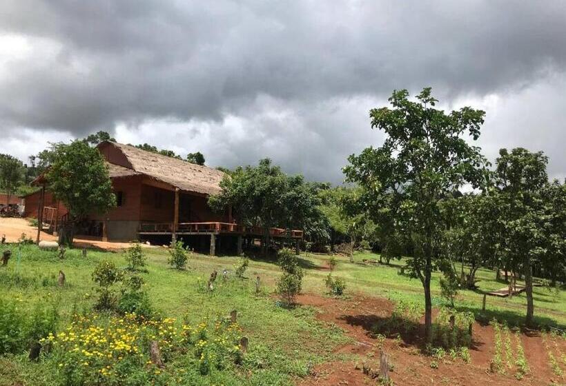 Отель Gibbon Lodge