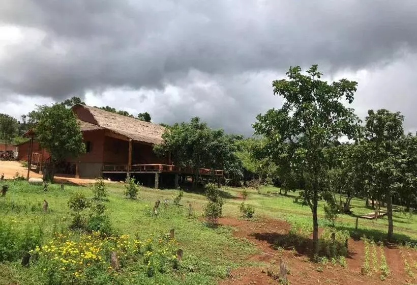 ホテル Gibbon Lodge