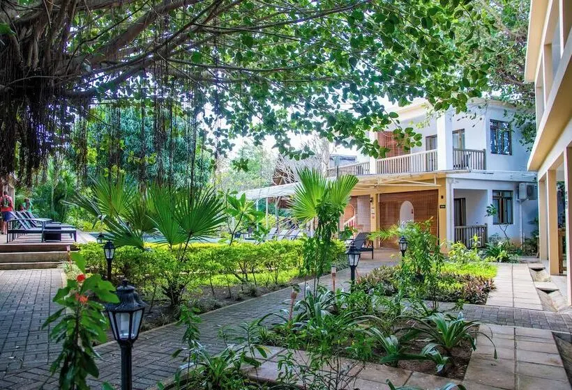 تختخواب و صبحانه The Garden Lodge Pereybere   Piscine & Jardin
