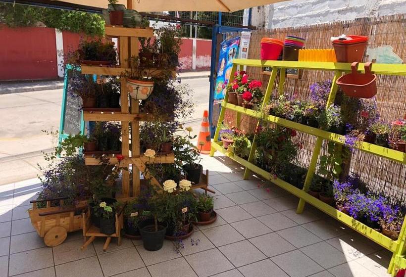 צימר Hermosas Habitaciones Para 1 2 O 4 Personas