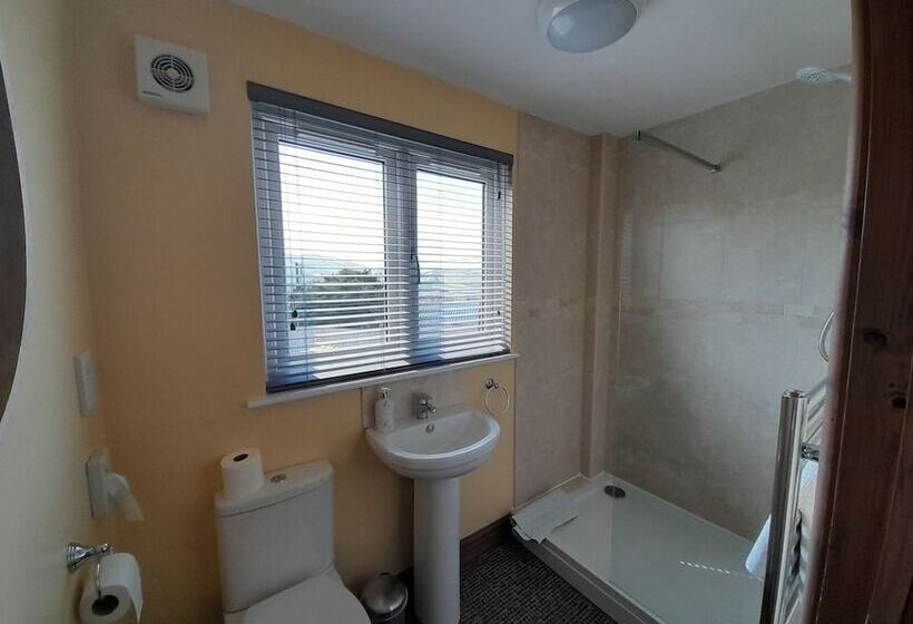 住宿加早餐  The Dolfor Inn