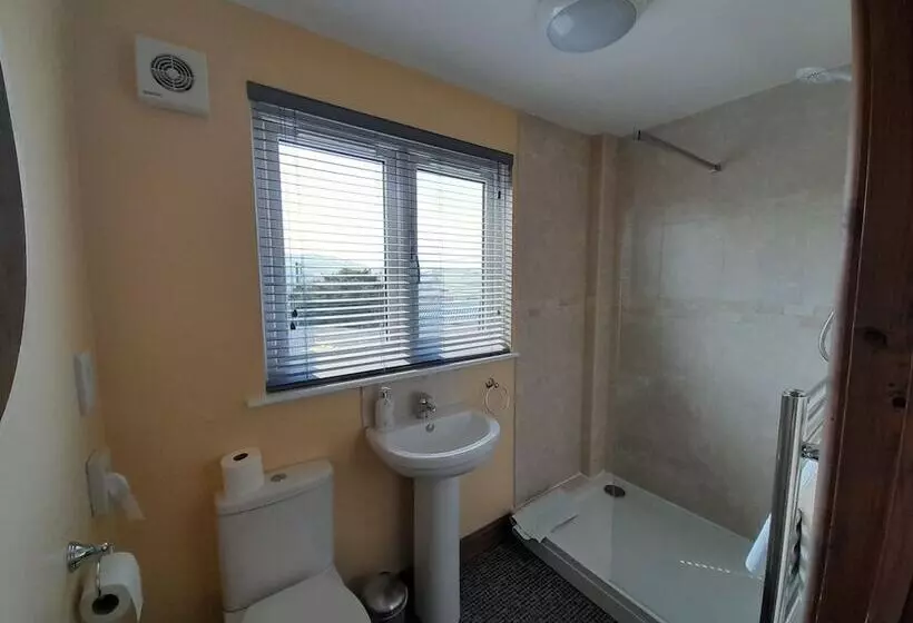 Aamiaismajoitus (B&B) The Dolfor Inn