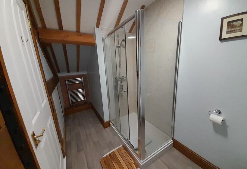 住宿加早餐  The Dolfor Inn