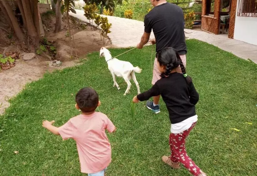 ホテル Quilla Wasi