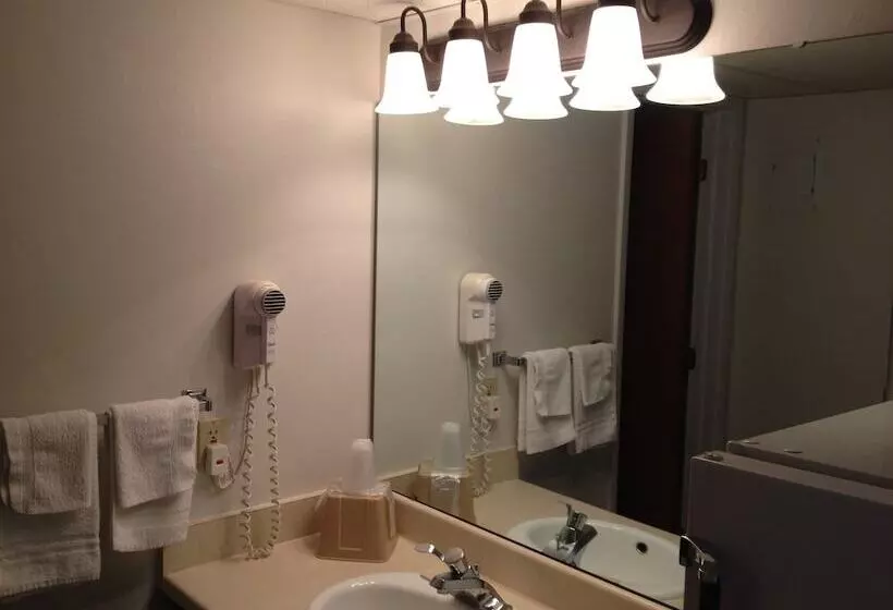 모텔 Midlands Lodge