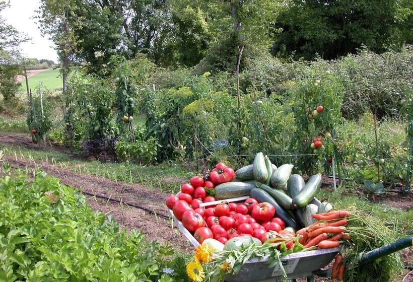 مبيت وإفطار Chambre D Hôtes La Pertuzerie