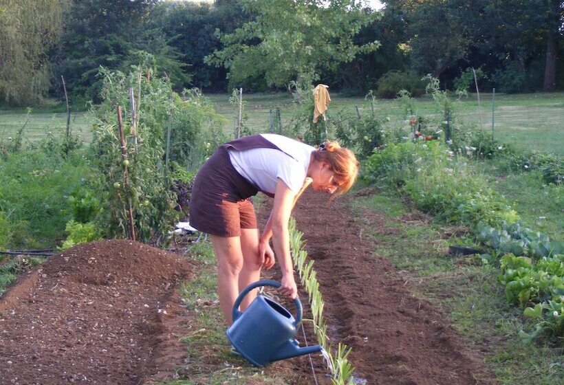مبيت وإفطار Chambre D Hôtes La Pertuzerie