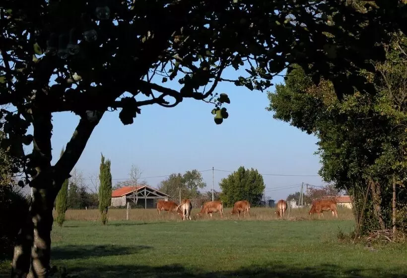 Aamiaismajoitus (B&B) Chambre D Hôtes La Pertuzerie