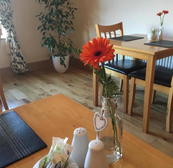 צימר Lissadell Lodge