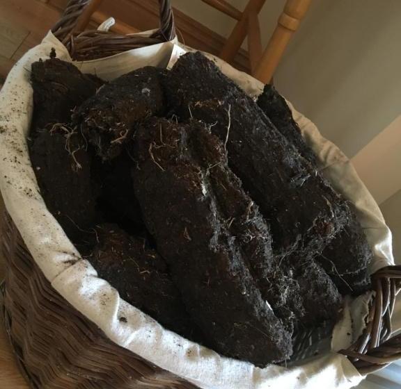 צימר Lissadell Lodge