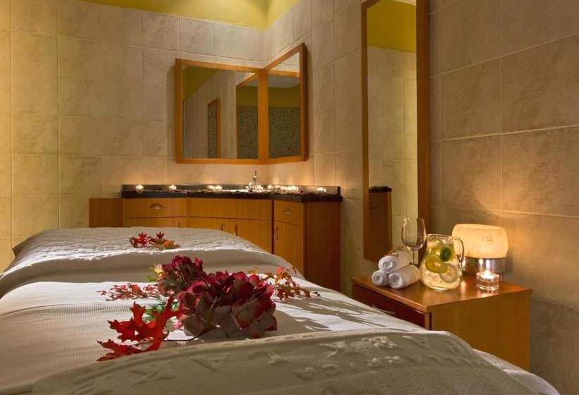 هتل Villarrica Park Lake By Enjoy