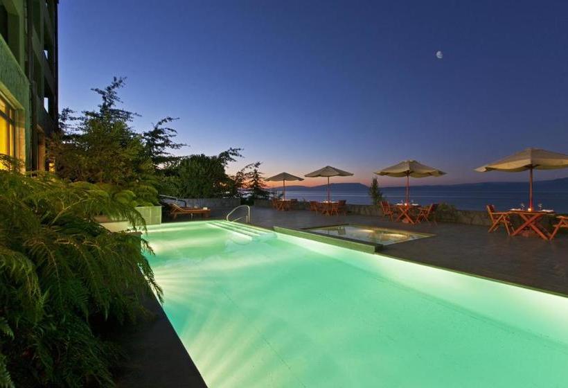 هتل Villarrica Park Lake By Enjoy