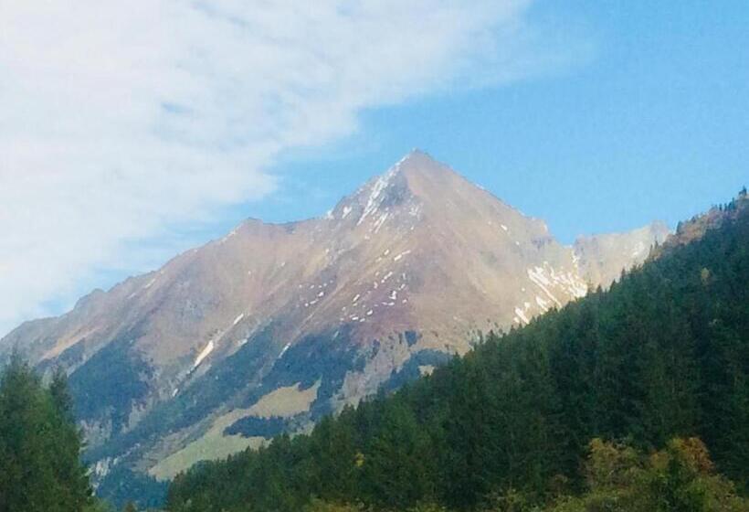 ペンション Gästehaus Regina