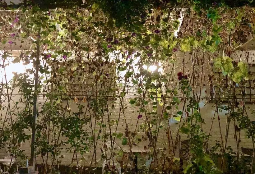 ペンション Manhong's Private Courtyard