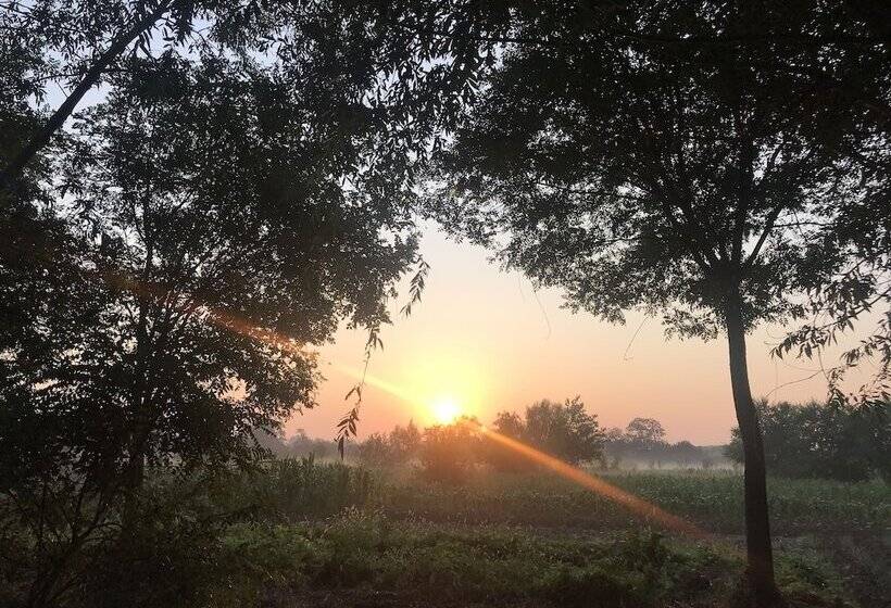 פנסיון Manhong's Private Courtyard