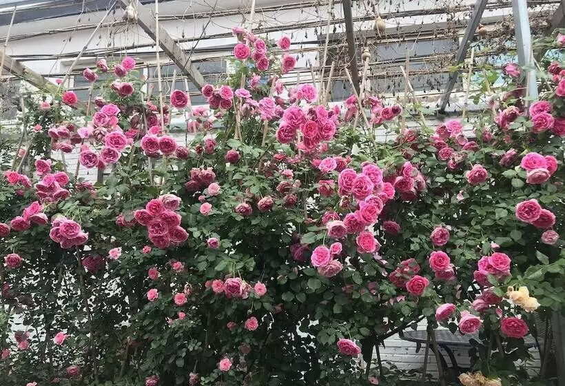 ペンション Manhong's Private Courtyard