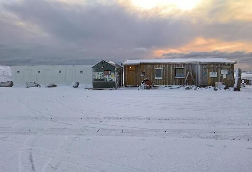 پانسیون Viking Cafe Guesthouse