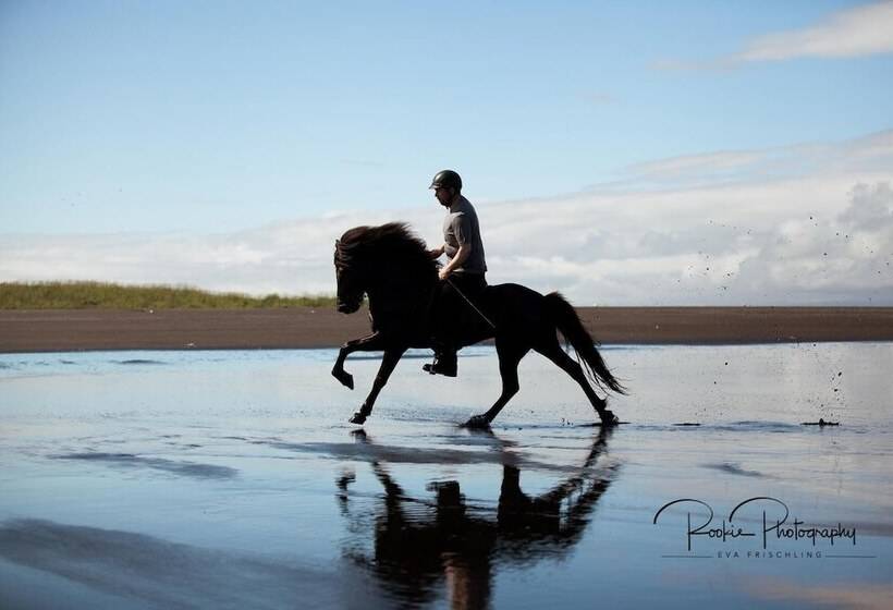 پانسیون Viking Cafe Guesthouse