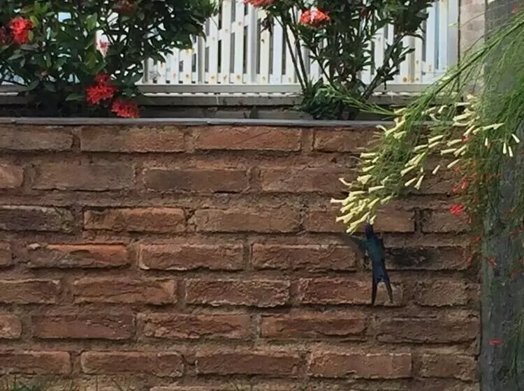 ホテル Pousada Tucano