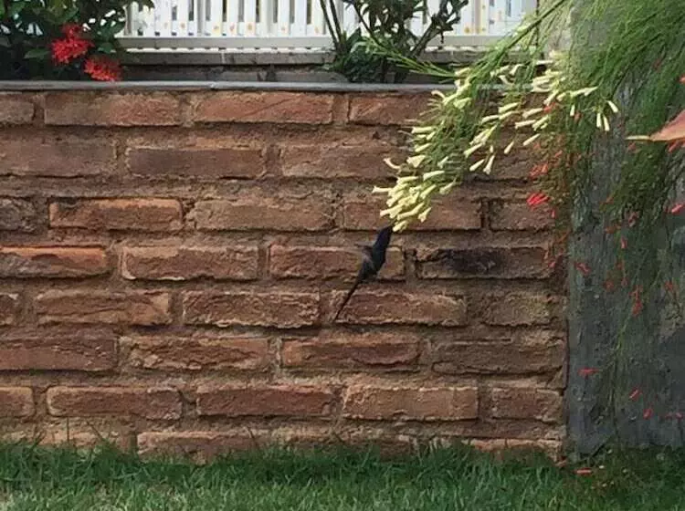 ホテル Pousada Tucano