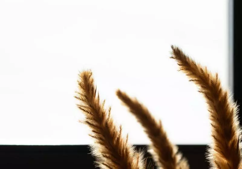 ペンション Ikies Of Mykonos