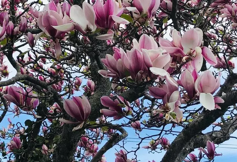 Majatalo Prodigal Daughter Gourmet Lodge